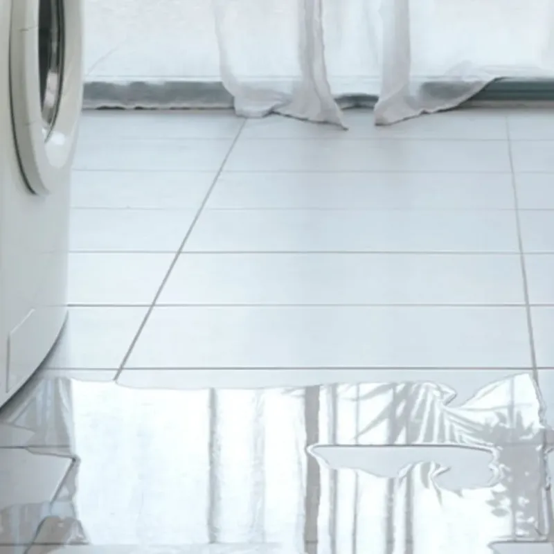 Appliance Leak Cleanup in Jefferson County, WI