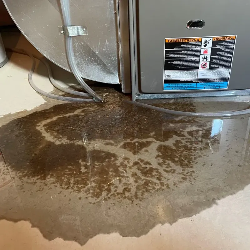 Pipe Burst and Leak Restoration in Jefferson County, WI