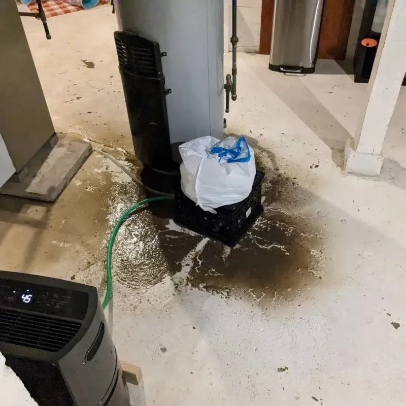 Sewage Backup Cleanup Service in Jefferson County, WI
